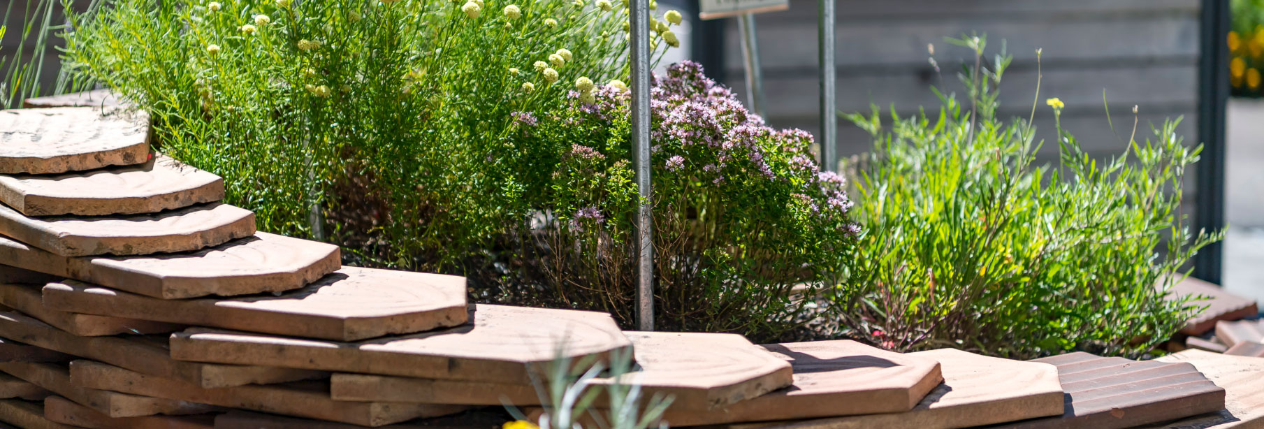 Altersheim Im Horb Alt St. Johann